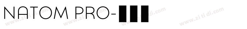 NATOM PRO字体转换 NATOM PRO字体转换